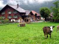 Hof hinter Meiringen