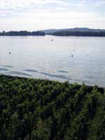 Bieler See