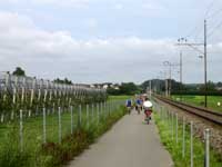 Bodensee-Radweg