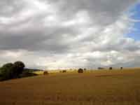 bei Orny
